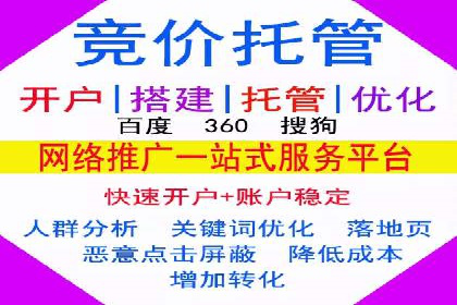 解析SEM竞价代运营的成功要素及案例